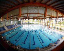Sports pool